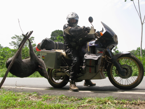 bushmeat along the road.JPG